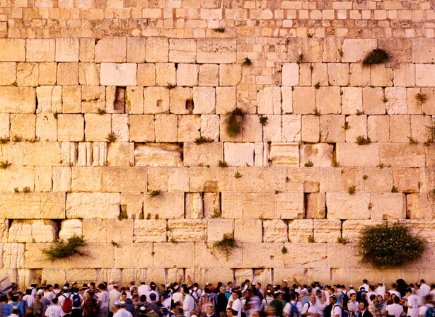 kotel
