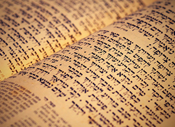 torah scholars