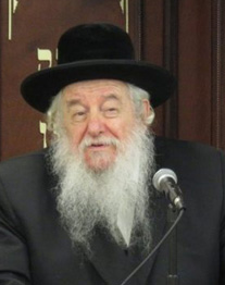 Novominsker Rebbe